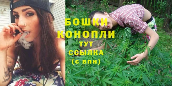 дурь Новозыбков