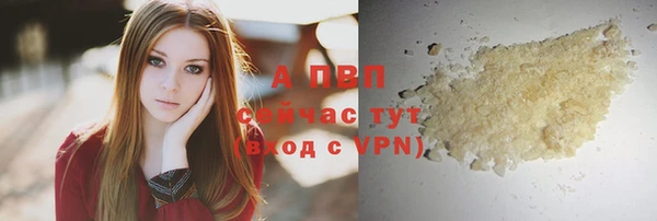 ПСИЛОЦИБИНОВЫЕ ГРИБЫ Новодвинск