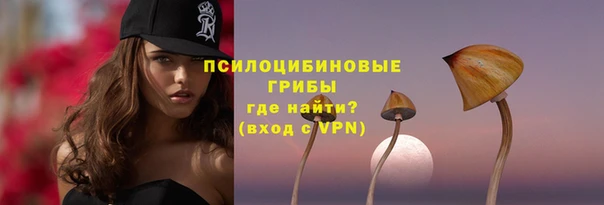 дурь Новозыбков