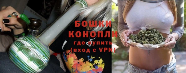 ПСИЛОЦИБИНОВЫЕ ГРИБЫ Новодвинск