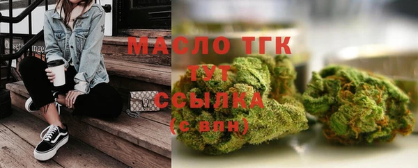 индика Нязепетровск