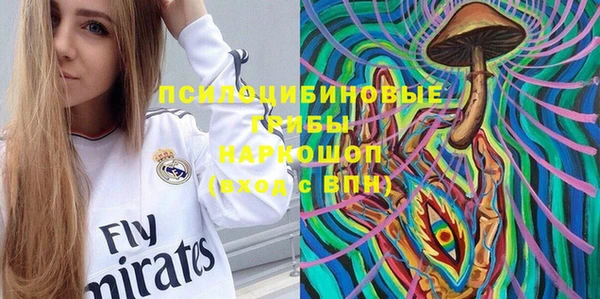 ПСИЛОЦИБИНОВЫЕ ГРИБЫ Новодвинск