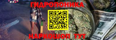 PSILOCYBIN Балахна