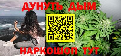 МДПВ Камышлов