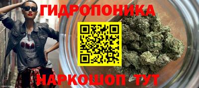 ALPHA PVP Кандалакша