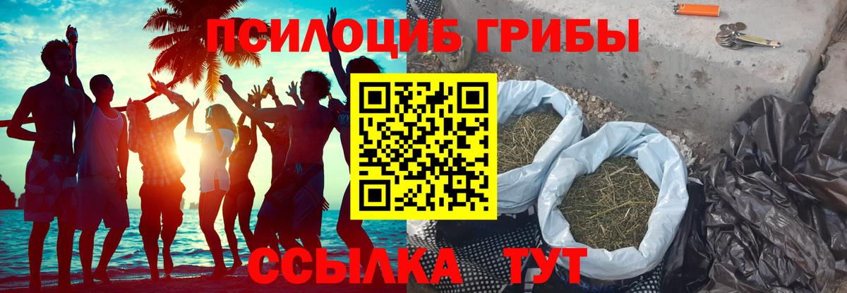 что такое   Вход с VPN  Лиски  Псилоцибиновые грибы Psilocybe 