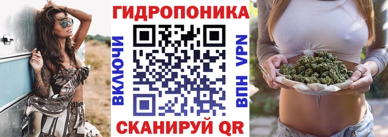 Шишки марихуана план  сколько стоит  Лиски 