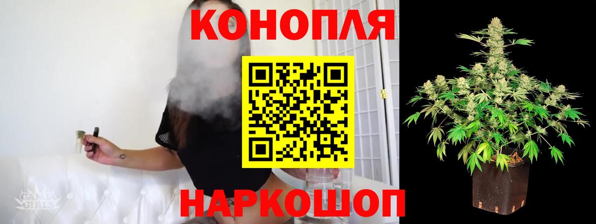 Лиски  Шишки марихуана OG Kush  Канабис сатива  МАРИХУАНА планчик  Вход с VPN 
